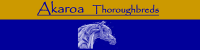 Akaroa Thoroughbreds