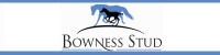 Bowness Stud