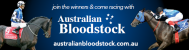 Australian Bloodstock Syndicates 
