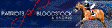Patriots Bloodstock