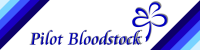 Pilot Bloodstock Agency