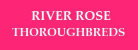River Rose Thoroughbreds
