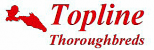 Topline Thoroughbreds Pty Ltd