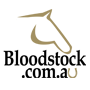 Ex-Rockhampton trainer chases city success - Bloodstock.com.au