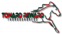 Toward Reward Thoroughbreds