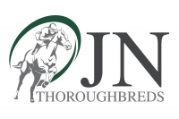 JN Thoroughbreds