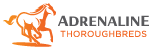 Adrenaline Thoroughbreds