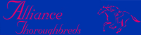 Alliance Thoroughbreds