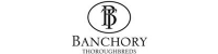 Banchory Thoroughbreds