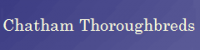 Chatham Thoroughbreds