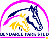 Bendaree Park Stud