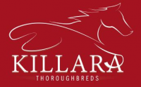 Killara Thoroughbreds