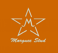 Marquee Stud