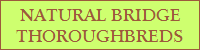 Natural Bridge Thoroughbreds