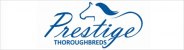 Prestige Thoroughbreds