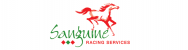 Sanguine Racing Services