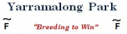 Yarramalong Park Stud