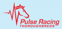 Pulse Racing Thoroughbreds